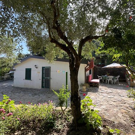 Casa Vacanze Alfano Ашеа Экстерьер фото