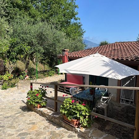 Casa Vacanze Alfano Ашеа Экстерьер фото