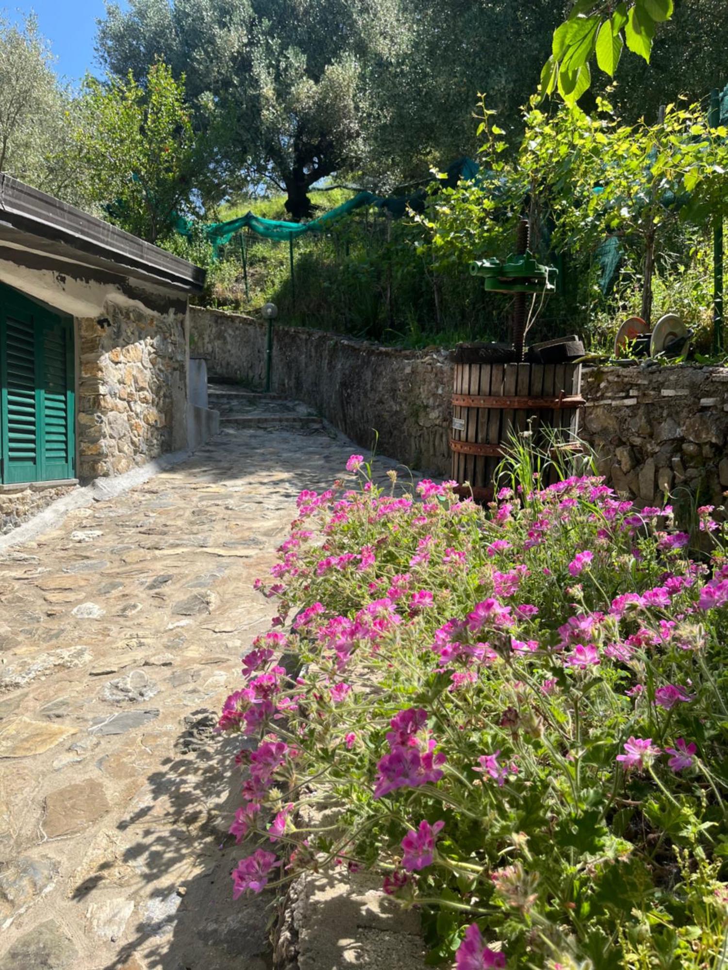 Casa Vacanze Alfano Ашеа Экстерьер фото