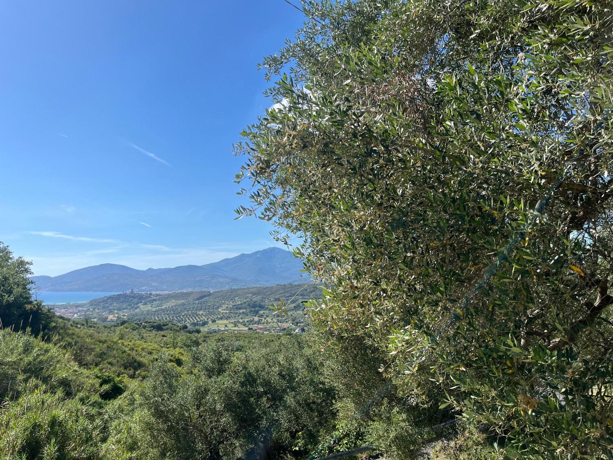 Casa Vacanze Alfano Ашеа Экстерьер фото